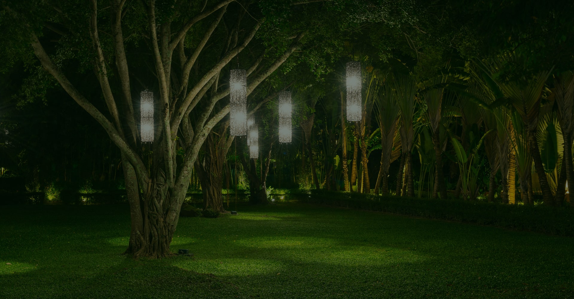 banner-6-2-min-1.jpg
